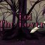 Loi the Lover Full Game Latest Version