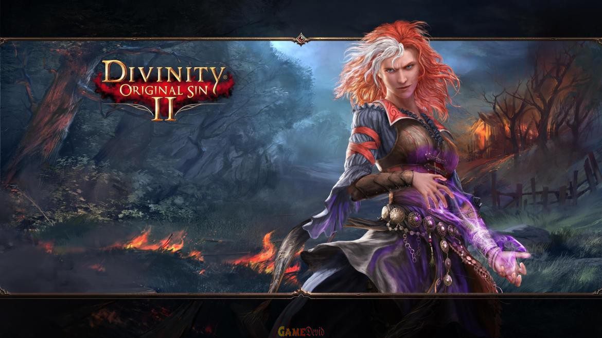 Download Divinity: Original Sin II Ultra HD Resolution PC Game