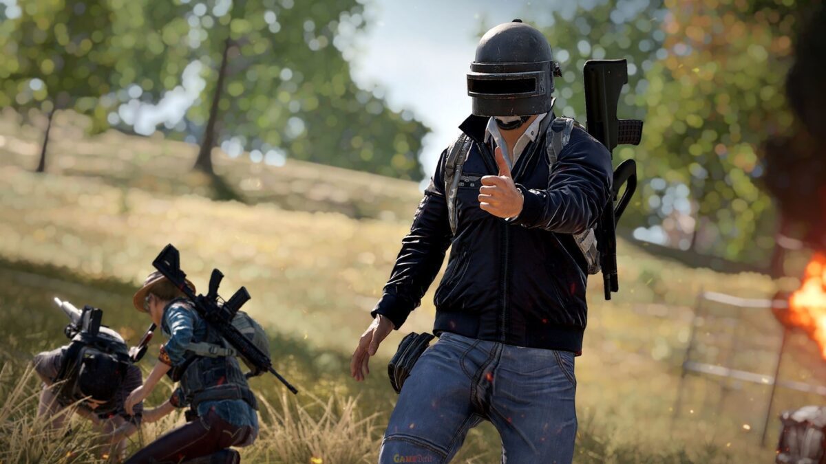 pure pc game cheats
