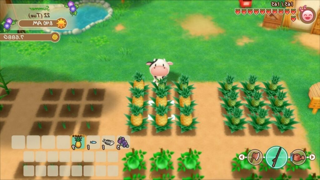 Story of Seasons, Friends of Mineral Town Android Game Latest Edition Download