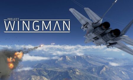 Project Wingman PC Game Full Version Download