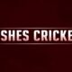 Ashes Cricket PS4 Game Full Version Torrent Link Download