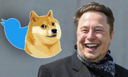 Elon Musk Change Twitter Logo Must Watch