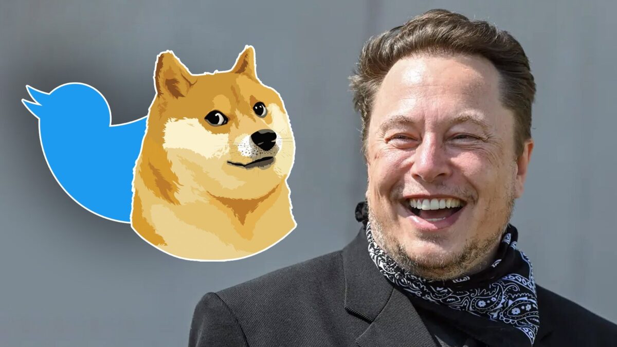 Why Elon Musk Change Twitter Logo?