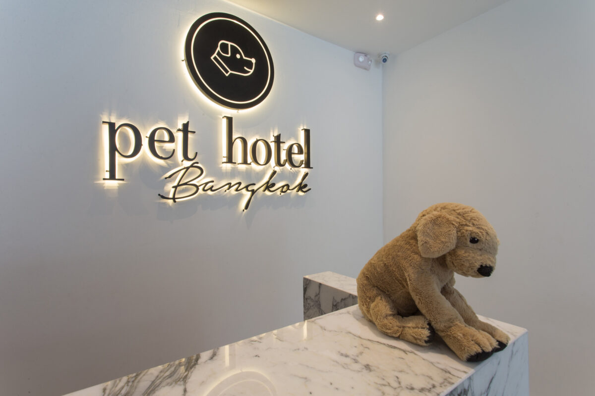 Pets Hotel 2023 Mobile Android Working Mod Full Version Download
