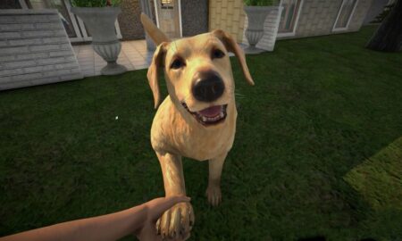 Pets Hotel PC Simulation Game Free Download