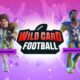 Wild Card Football PC Game Official Version Full Download