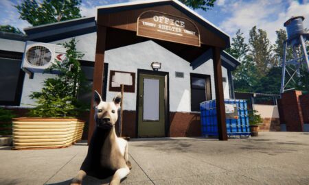 Animal Shelter PC Game Full Version Download